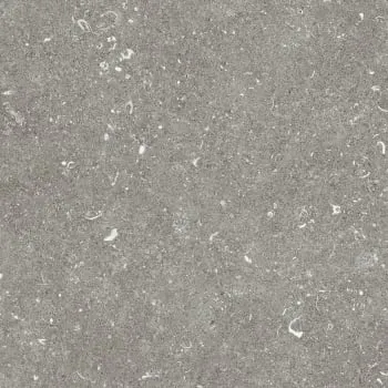 Plus Belgian Grey 2cm 60x60 Rectified