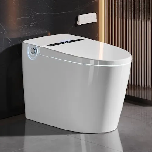 DeerValley Tankless Elongated Smart Toilet Bidet in White with Auto Flush, Warm Water, Dryer, Digital Display