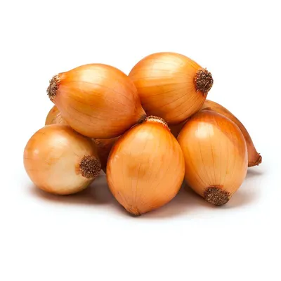 cebola para conserva kg