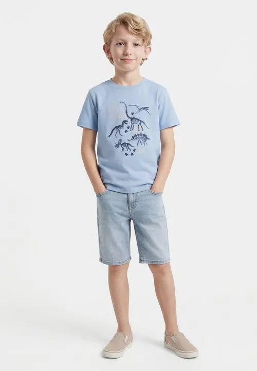 NMMFABIAK - T-shirts med print - blue fog