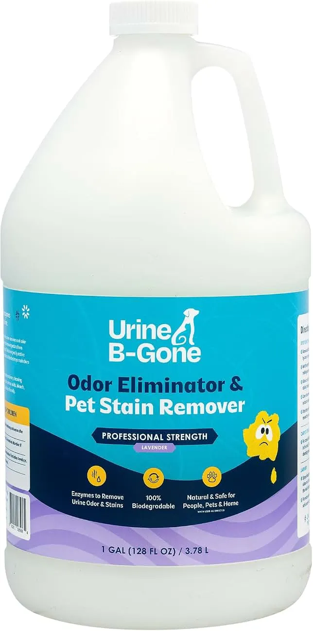 Urine B-Gone Enzyme Cleaner for Human, Cat & Dog Urine, Lavender, 1 Gallon | Enzyme cleaner for human, cat and dog urine on laundry, carpets and more; lavender scent, 1-gallon size.