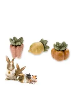 Ferplast Veggie Bites Veg - Knaagdiersnack - 3.2x3.2x4.5 cm