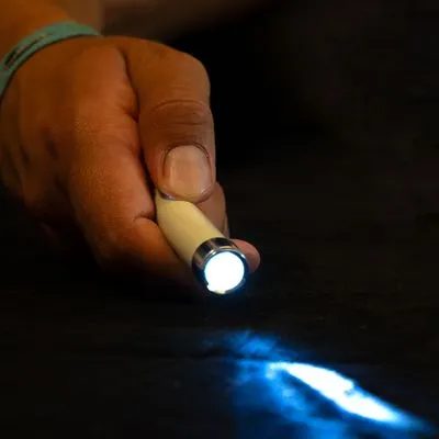 zooplus Basics Pointeur LED pour chat