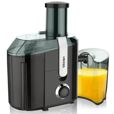 Extractor de jugo 900 W WSL-SOMMER900