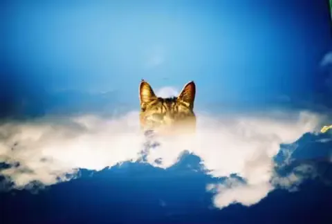 HOLGA 135BC 135 Film Camera Foolproof Camera Retro Camera Leak Light Dark Angle Creative Camera Beginner's Film Camera ﻿