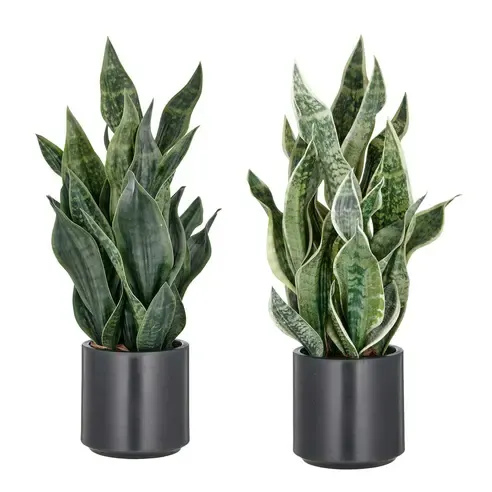 Sansevieria - Kunstpflanze - sortiert - 66 cm
