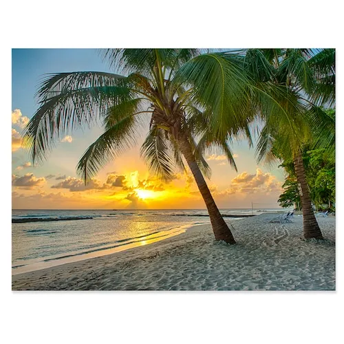 Designart Beach In Caribbean Island Of Barbados - Modern Seascape Canvas Artwork - 32X16