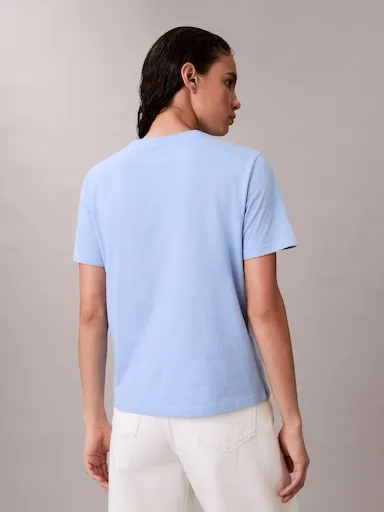 Calvin Klein Hero Classic Monologo Tee In Frozen Fjord