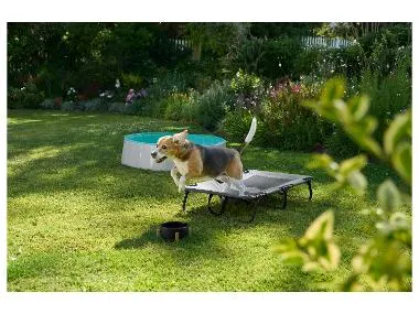 Cama para perro con toldo / Tumbona plegable para perro (Tumbona plegable para perros)