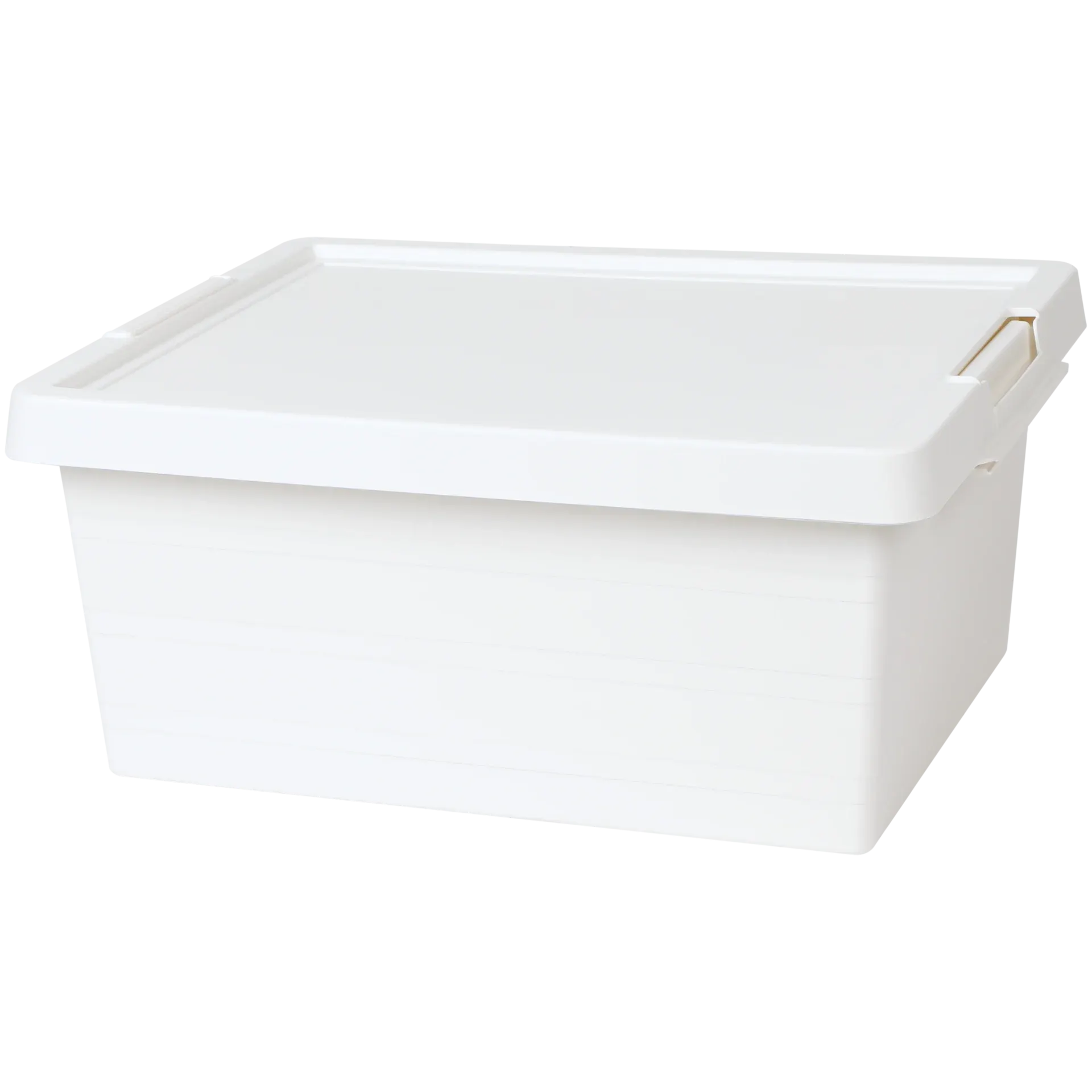 Contenitore con coperchio