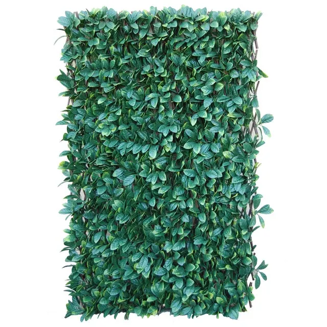 Traliccio estensibile NATERIAL Divy 3dx-tens Osmanthus in polietilene verde L 200 x H 100 cm