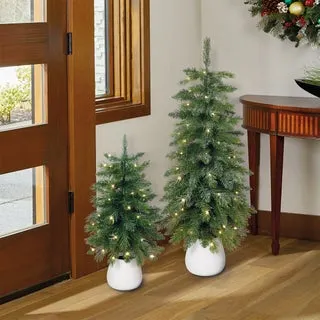 2' & 3' Glitter Potted Trees with Twinkle Lights, Set of 2