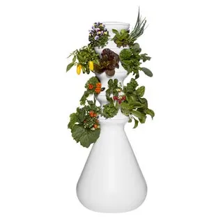 Lettuce Grow Outdoor Farmstand with Plants