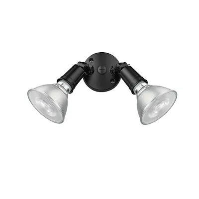 60 -Lumens 1 -Watt Black Warm White Solar LED Spot light