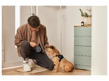 ZOOFARI®