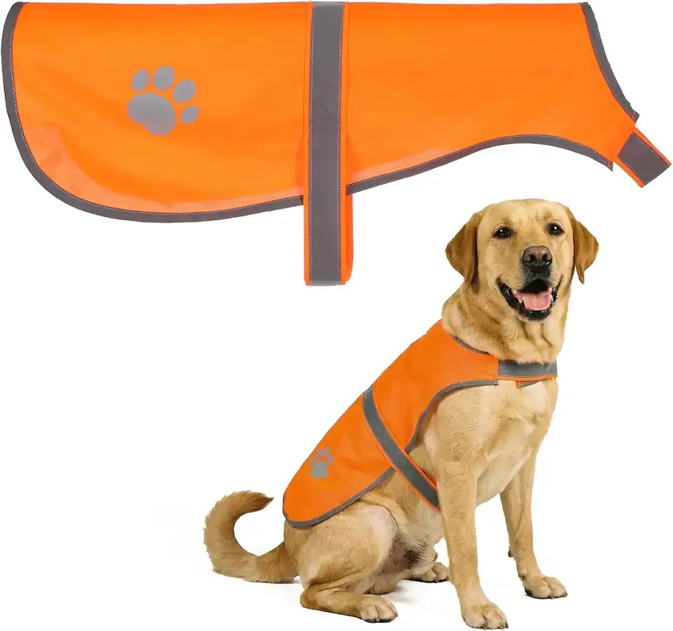 Orange Dog Vest High Visibility Dogs Safety Vests Orange Adjustable Soft Service Vest for Large Dogs Outdoor Activities Walking Training Jogging (M)