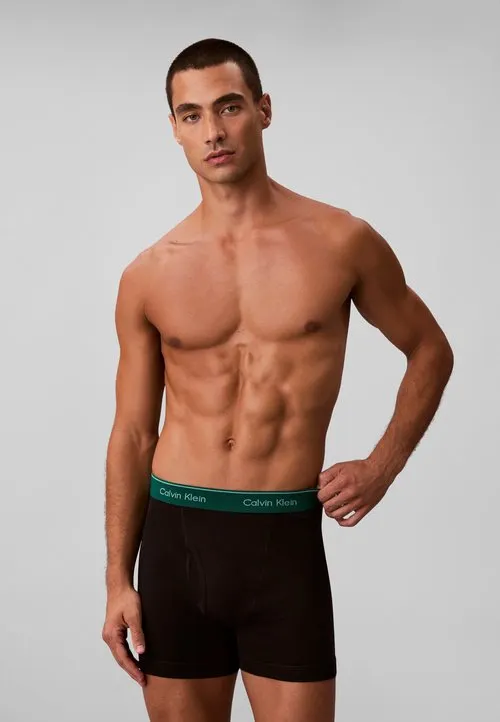 3 PACK BOXER BRIEFS - 100% COTTON - Boksershorts - black bodies/ink zoni