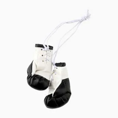 Air Freshener, Ocean