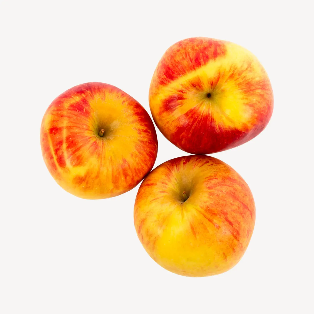 ambrosia apples
