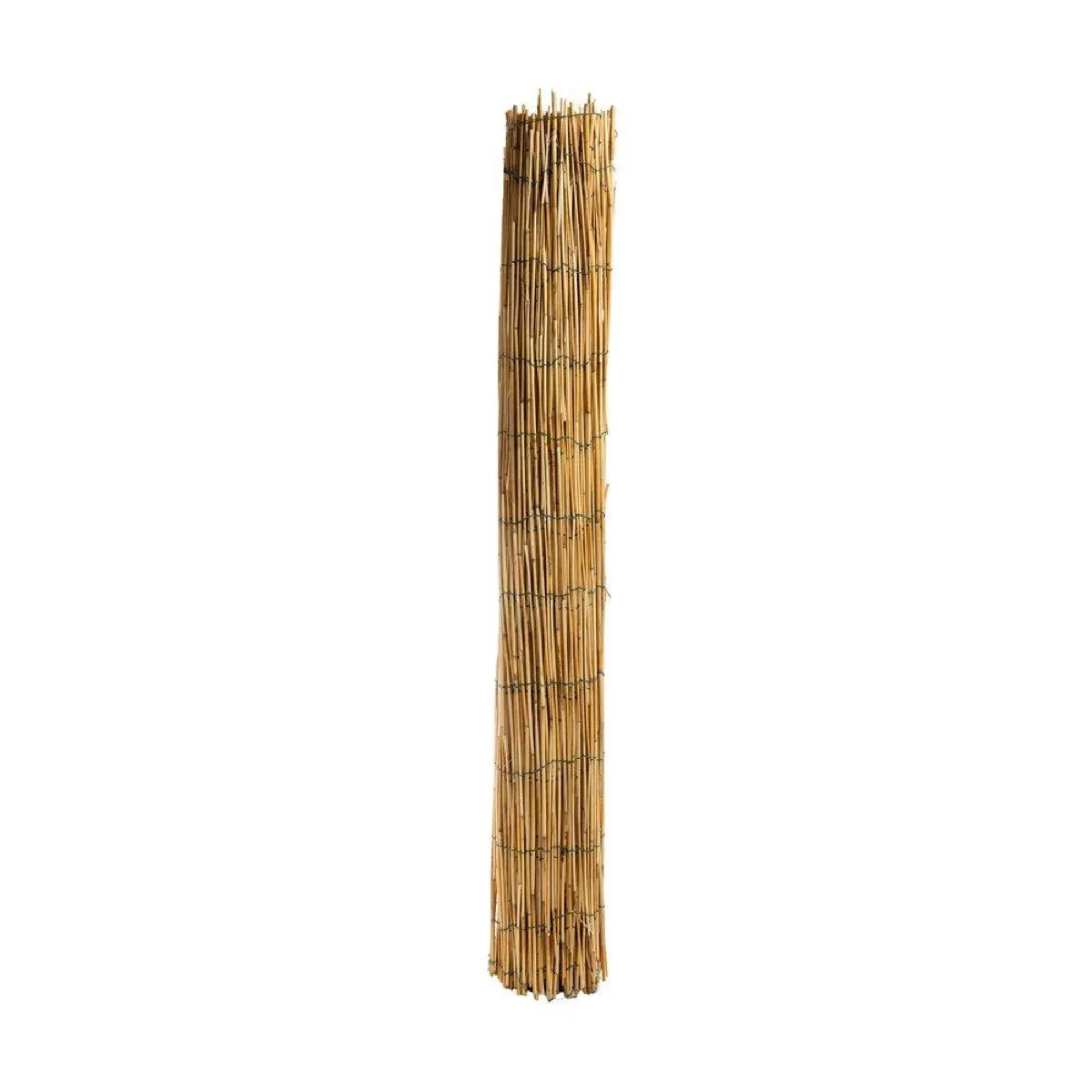 Arella Simple in Bamboo