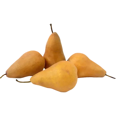 Bosc Beurre Pears