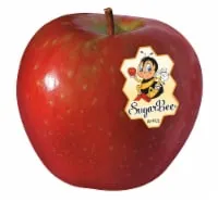 SugarBee® Apple Each
