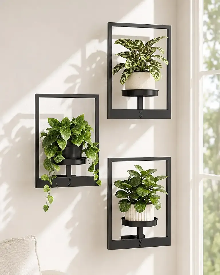 Bamworld Hanging Planters for Indoor Plants Wall Decor Living Room | Plant Stand Indoor Wall Planters Plant Hanger Window Plant Shelves 3 Pack for Outdoor Entryway