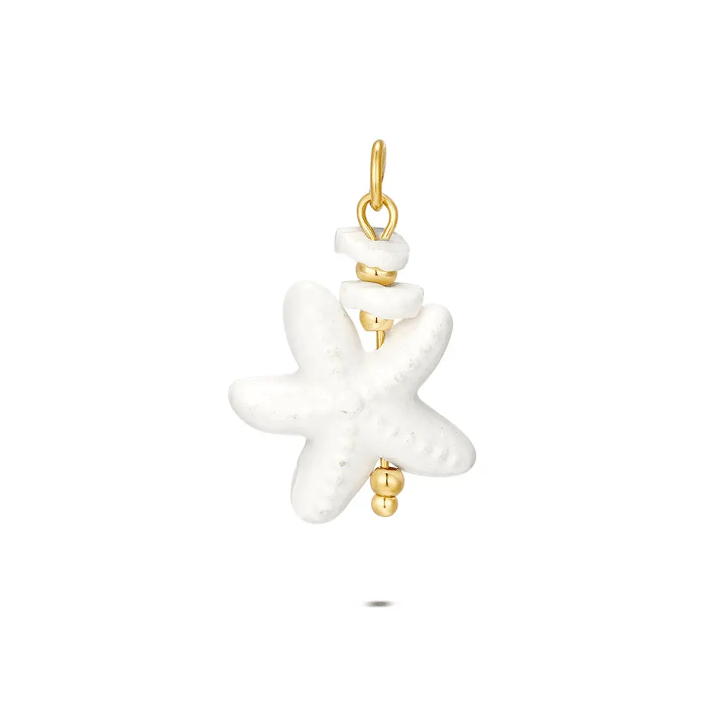 Hanger in edelstaal, zeester