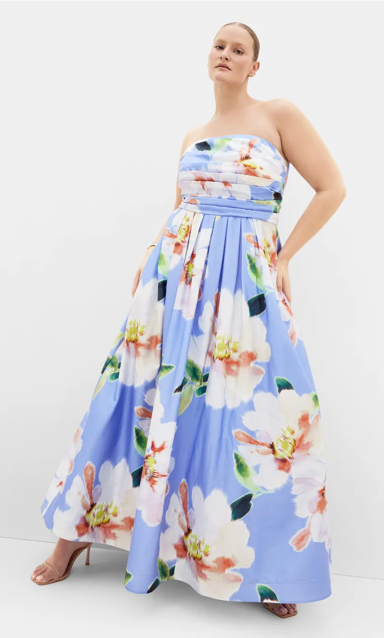 Rosalee Sleeveless Print Maxi Dress - sky blue