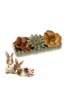 Ferplast Veggie Bites Flowers - Knaagdiersnack - 16x6.6x4 cm