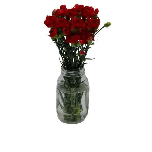 SuperValu Carnation Bouquet Of The Week (1 Piece) Open Product Description