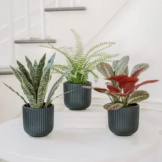 Faux Decorative Plant Trio