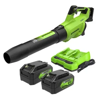 Greenworks 2x24V Blower (2) 5 AH Batteries and Dual Port Charger