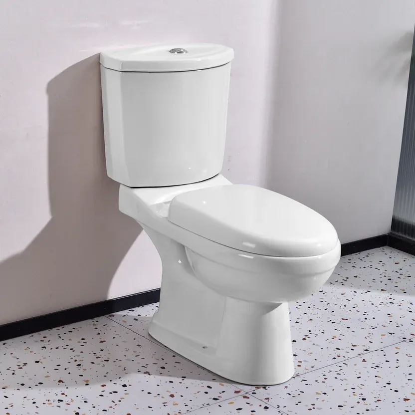 Kit inodoro largo New Asis dual con deposito y asiento blanco