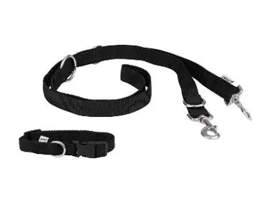 Collar para perro con correa / correa de adiestramiento