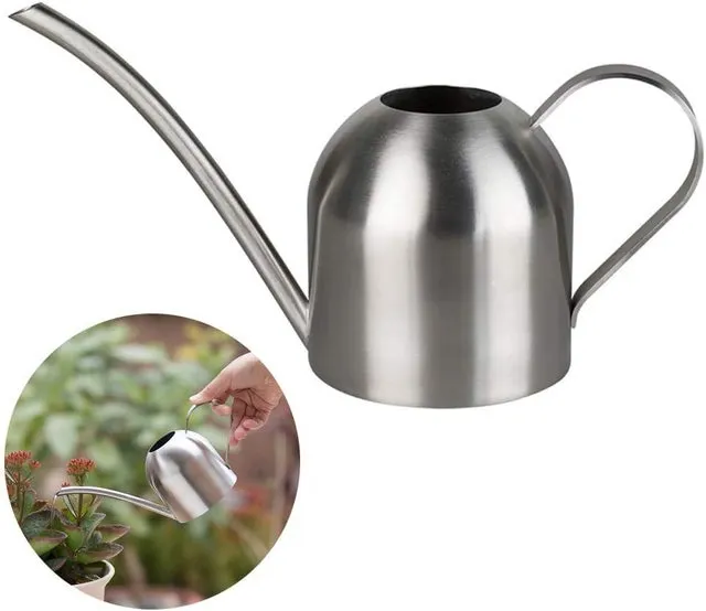 Annaffiatoio in acciaio inossidabile - Piccolo vaso per annaffiare a collo lungo per casa, interni, esterni, giardino, piante grasse - 500 ml (argento