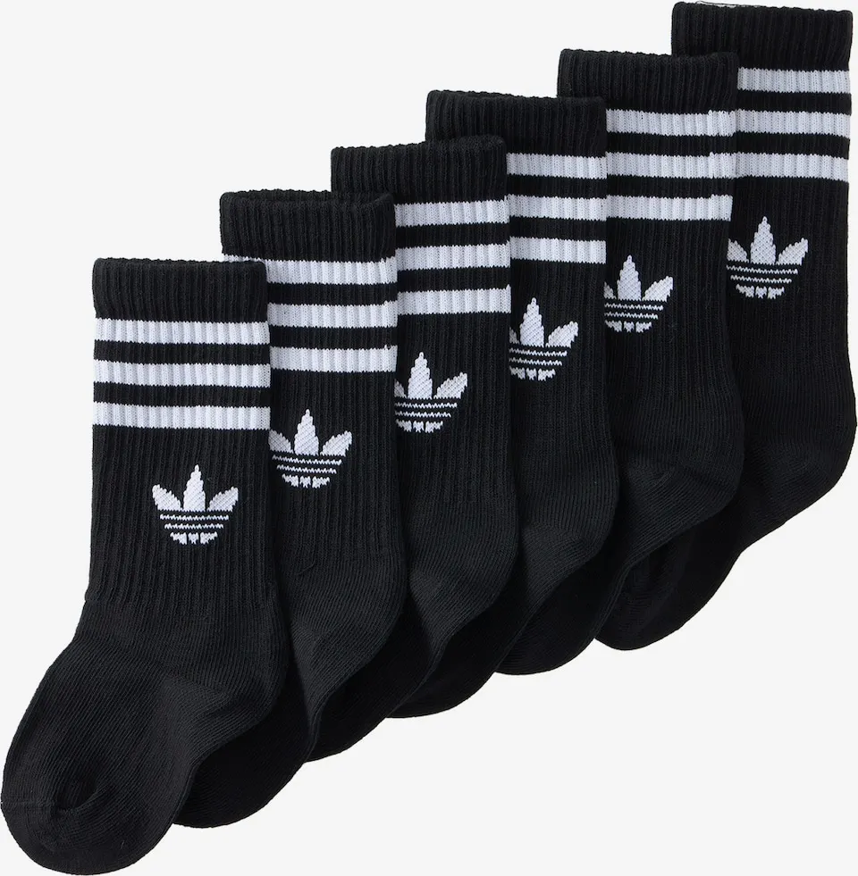 6er Pack