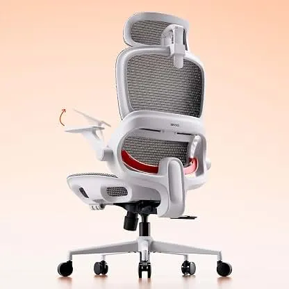 SIHOO B100 Mesh Ergonomic Office Chair with Adaptive Lumbar Support | Desk Chair with Wide Headrest, Flip-up Armrests, Swivel Desk Chair for Long Hours, Grey SIHOO B100 Mesh Ergonomic Office Chair with Adaptive Lu…