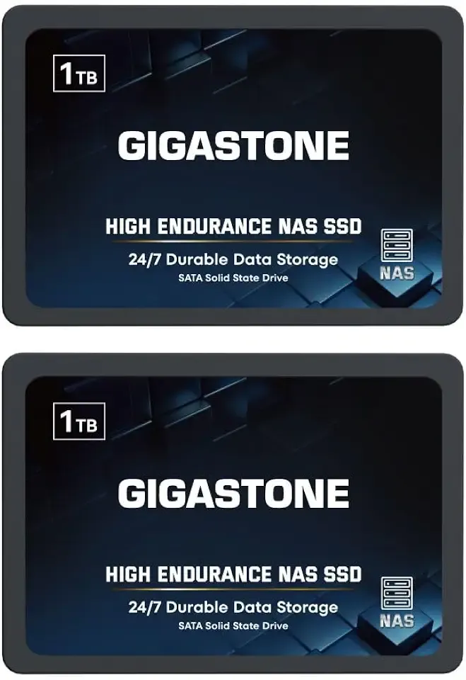 Gigastone 1TB High Endurance SSD (2-Pack) Up to 550MB/s TLC Flash with SLC Caching 24/7 Reliable for Gaming/PC/NAS SSD 5-Year Warranty 2.5" SATA Internal Solid State Drives RAID Disk