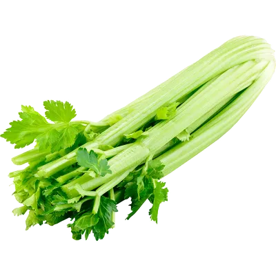 NZ Celery