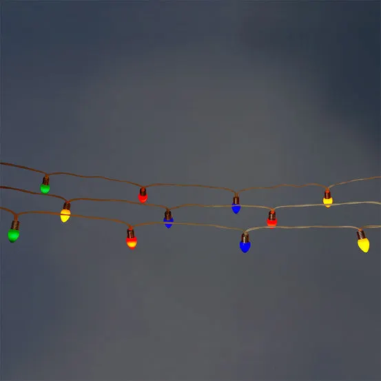 Outdoor string lights - Multi coloured bulbs