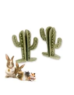 Ferplast Veggie Bites Cactus - Knaagdiersnack - 7.2x2.8x9.2 cm