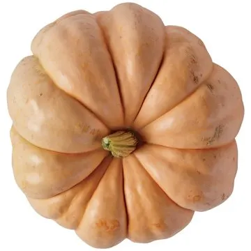 H-E-B Texas Roots Pink Pumpkin, Each