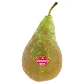 Conference handperen los