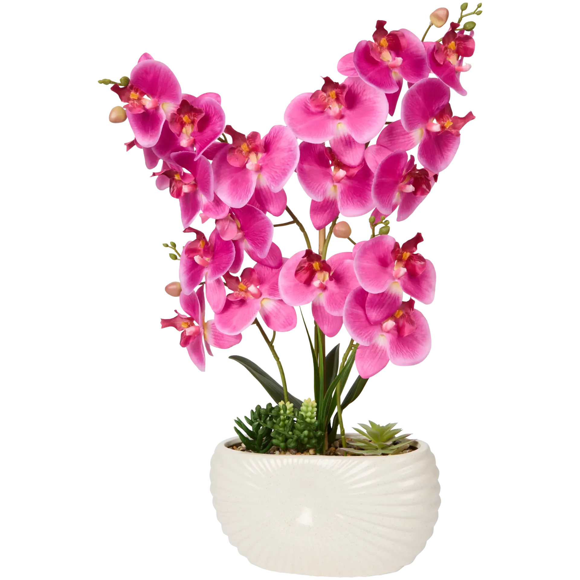 40x12x61 cm | Diverse varianti