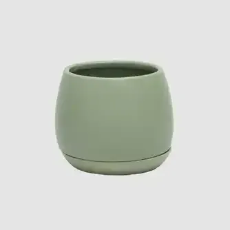 Boston Living Ainsley Round Planter Pot Desert Sage 9cm