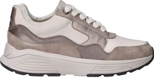 Xsensible Golden Gate Stretchwalker