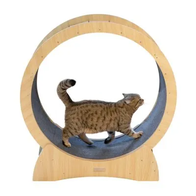 Kerbl Pet roue d’exercice pour chat