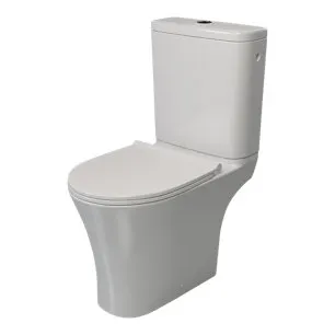 Pack wc à poser blanc cuvette sans bride 82 x 38 x 60 cm CALDICOT