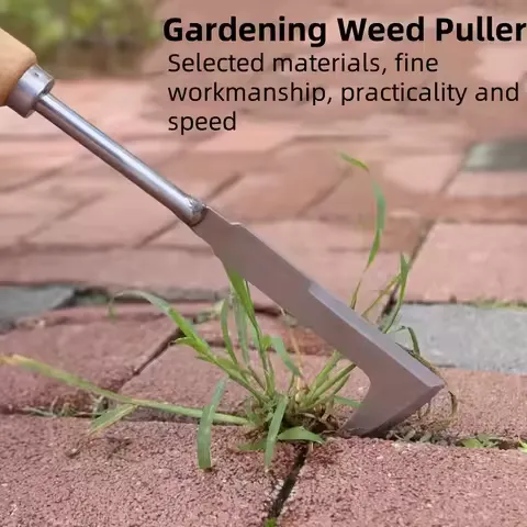 Stainless Steel Gap Weeding Tool, L-Shaped Multi-Purpose Garden Hand Tool, Used for Clearing Weeds in Yards, Terraces, and Lanes